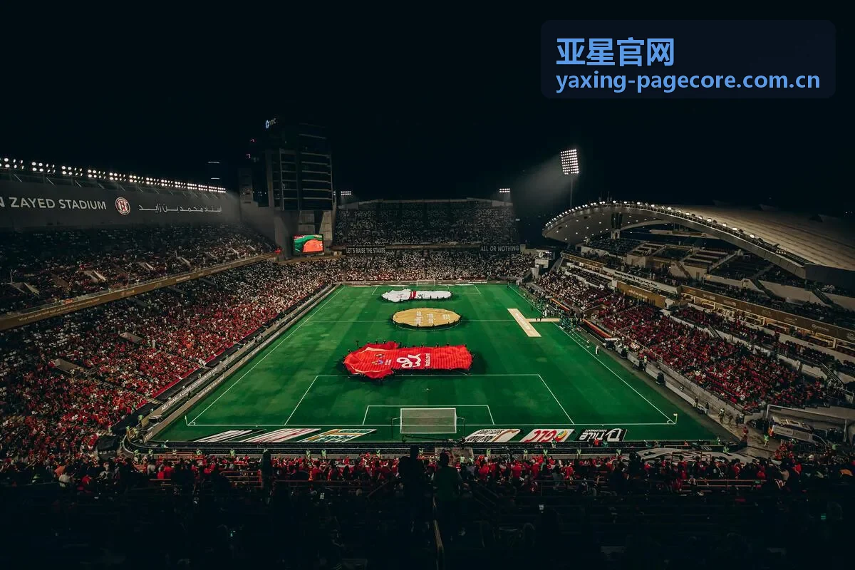 亚星官网近期资讯封面